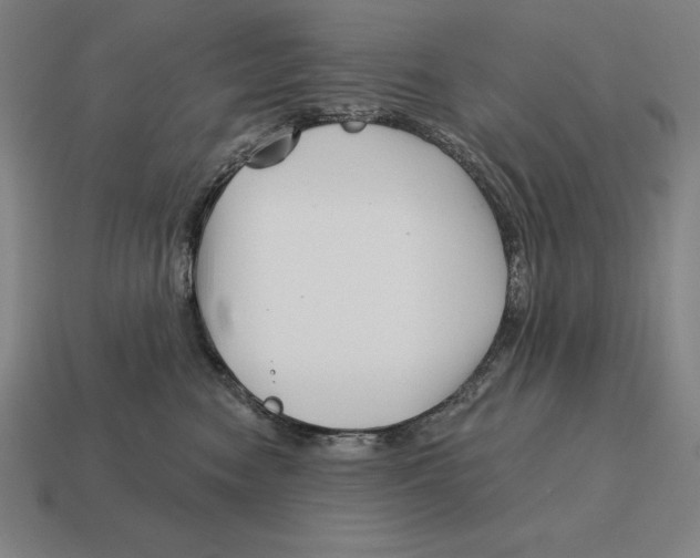 X0000113120474200909251116