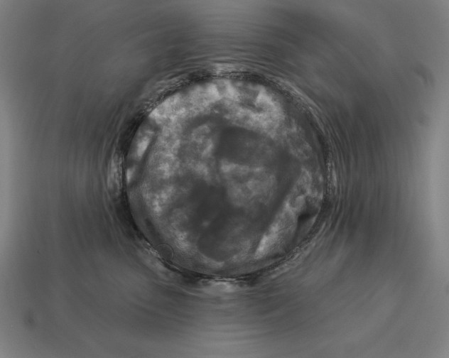 X0000113120475200909251116