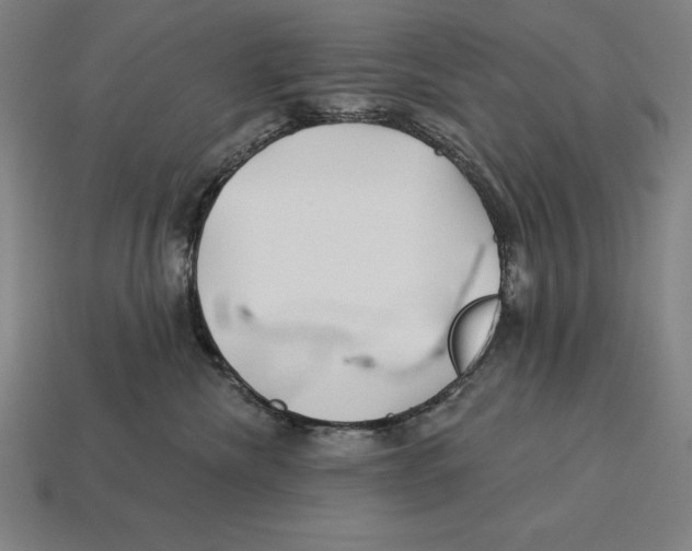 X0000113120476200909251116