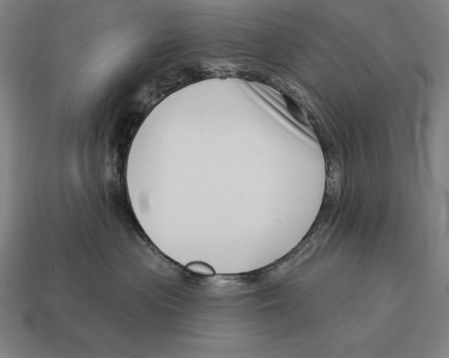 X0000113120477200909251116