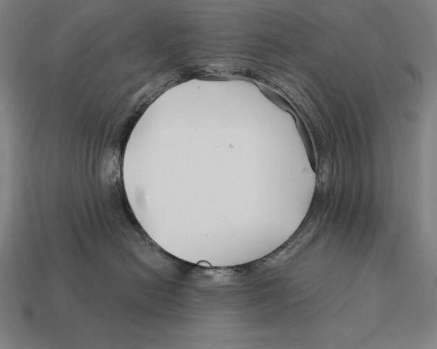 X0000113120478200909251116