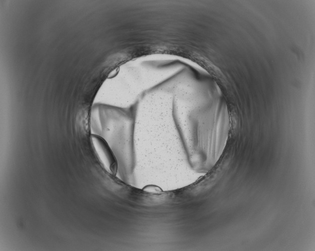 X0000113120479200909251116
