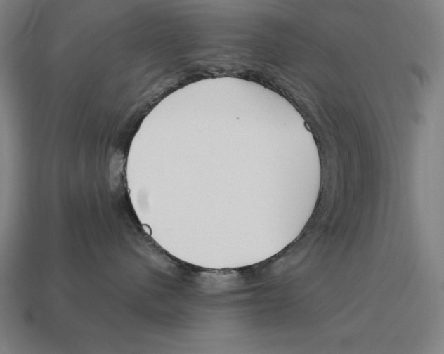 X0000113120480200909251116