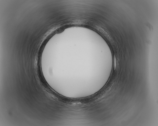 X0000113120483200909251116