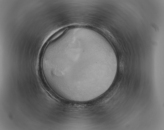 X0000113120484200909251116