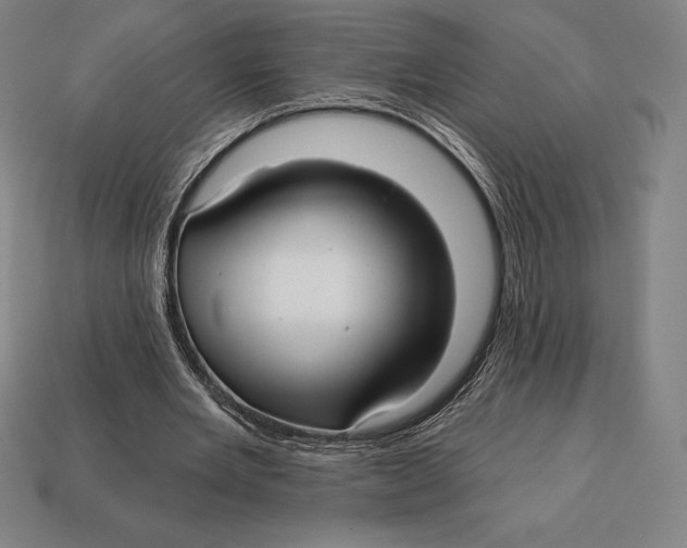 X0000113120485200909251116