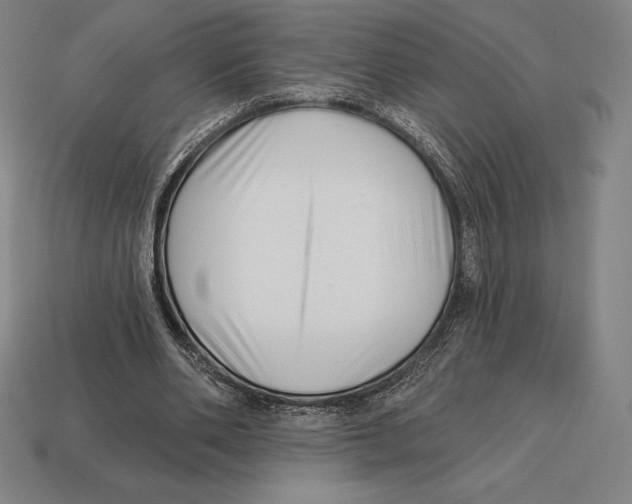 X0000113120486200909251116