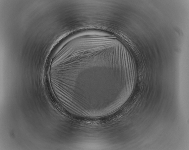 X0000113120488200909251116