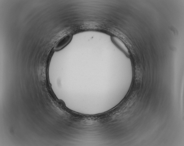 X0000113120489200909251116