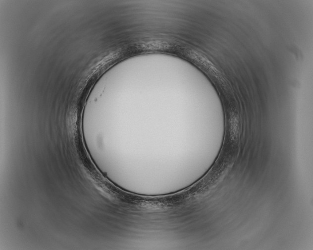X0000113120490200909251116