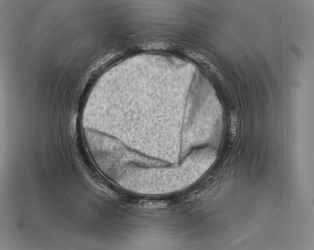 X0000113120491200909251115