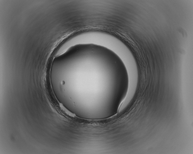 X0000113120492200909251115