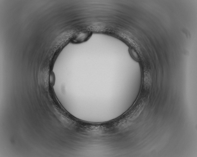 X0000113120493200909251115