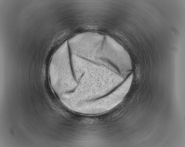 X0000113120494200909251115