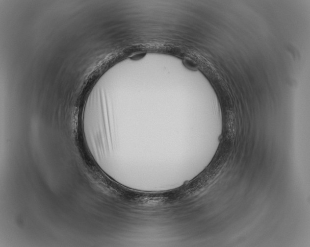 X0000113120495200909251115