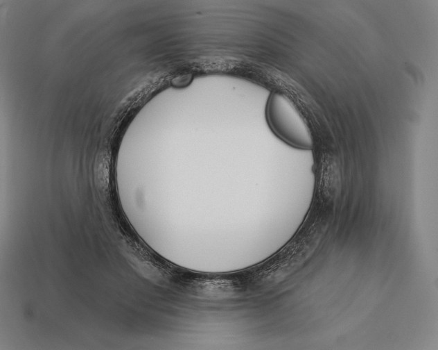 X0000113120501200909251115