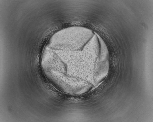 X0000113120502200909251115