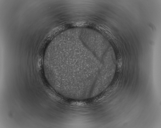 X0000113120503200909251115