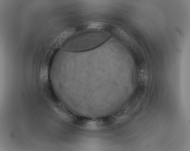 X0000113120504200909251115