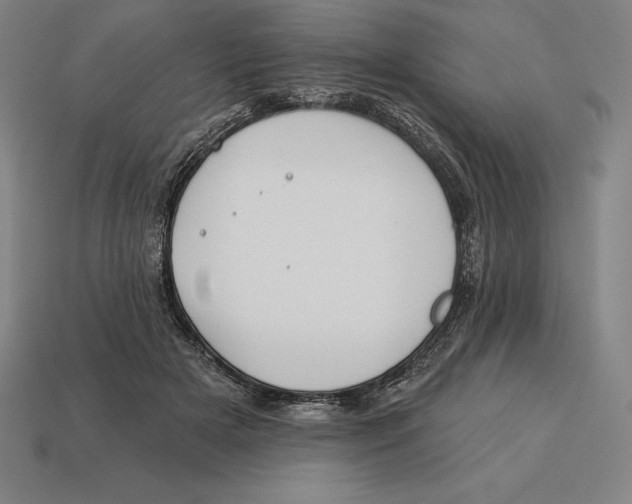 X0000113120505200909251115