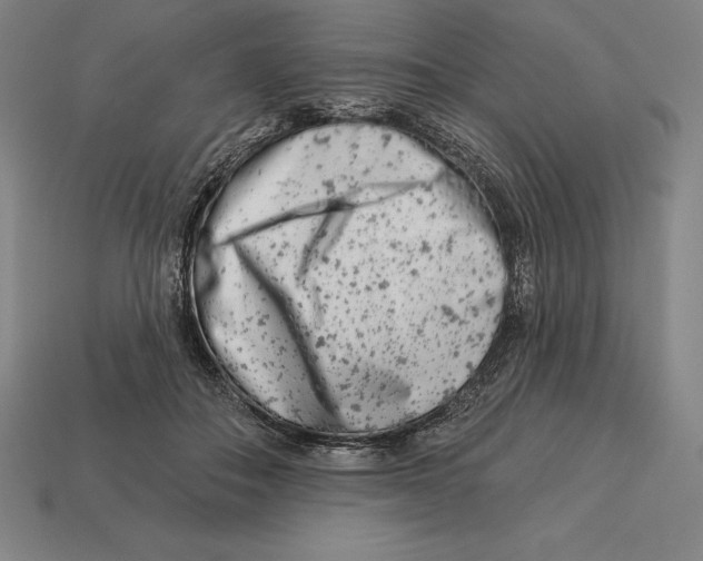 X0000113120506200909251115