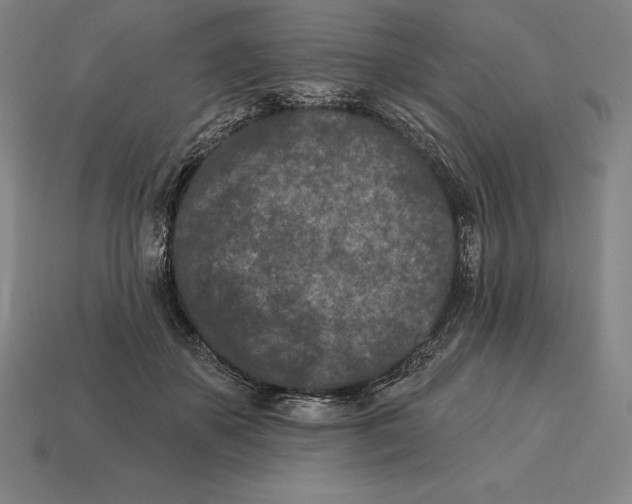X0000113120507200909251115