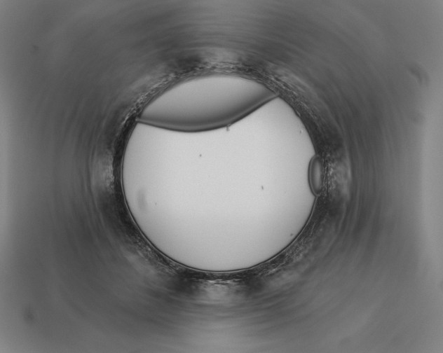 X0000113120508200909251115