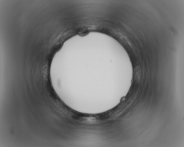 X0000113120509200909251115