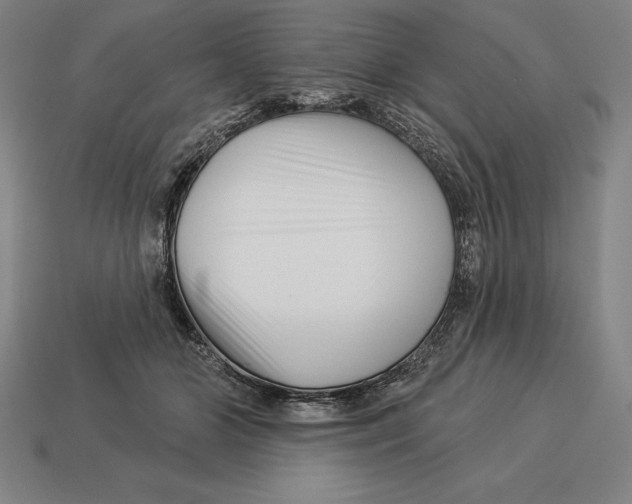 X0000113120510200909251115