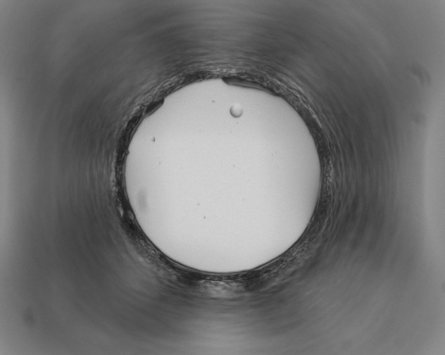 X0000113120512200909251115