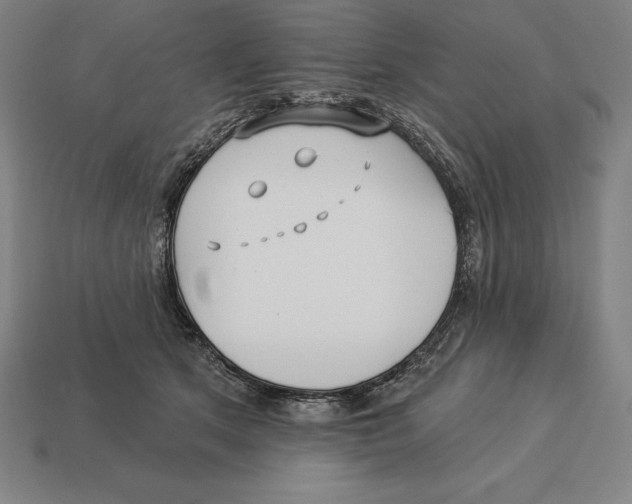 X0000113120513200909251115