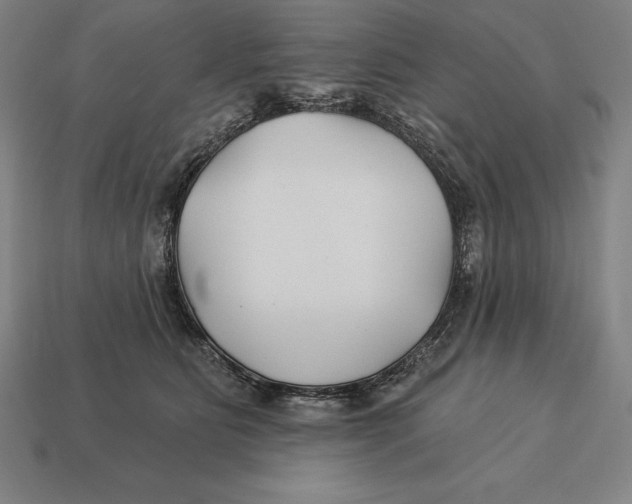 X0000113120515200909251115