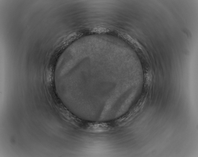 X0000113120517200909251115