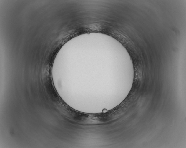 X0000113120518200909251115