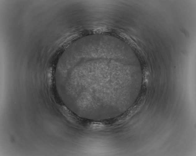 X0000113120519200909251115