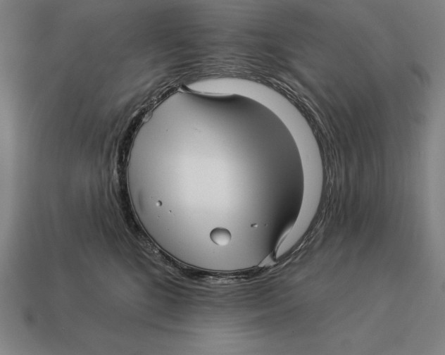 X0000113120520200909251115