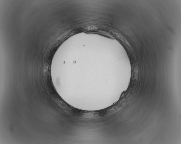 X0000113120521200909251115