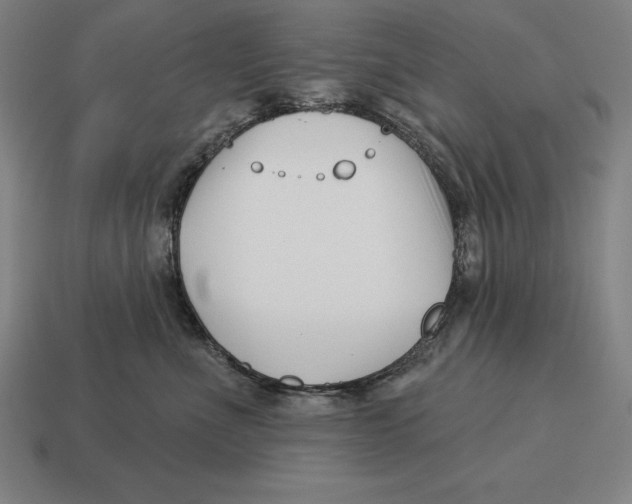 X0000113120523200909251115