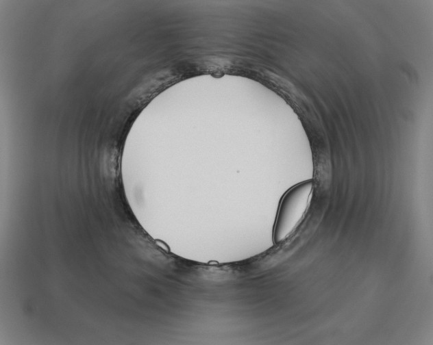 X0000113120525200909251115