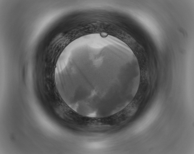 X0000113120526200909251115