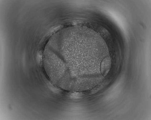X0000113120527200909251115