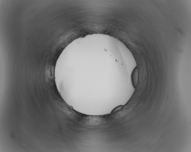X0000113120528200909251115