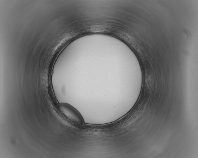 X0000113120530200909251114