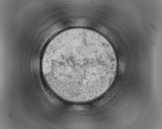X0000113120534200909251114