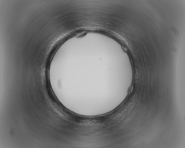 X0000113120535200909251114