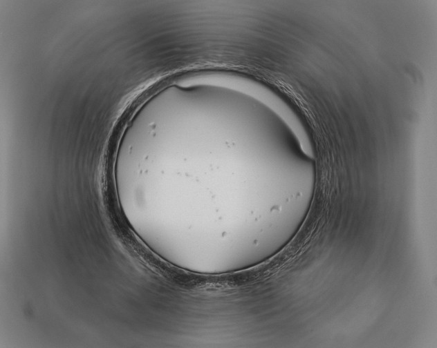 X0000113120536200909251114