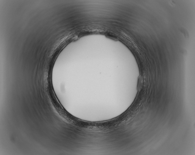 X0000113120538200909251115