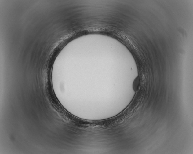 X0000113120539200909251115