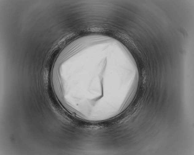 X0000113120542200909251115