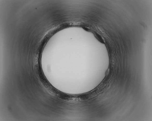 X0000113120543200909251115